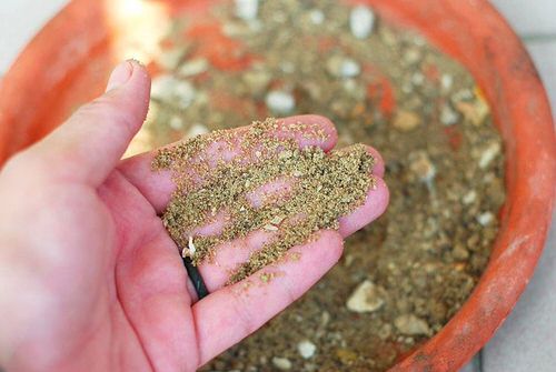 DIY Fertilizer Recipes from Food Scraps & Kitchen Leftovers 2