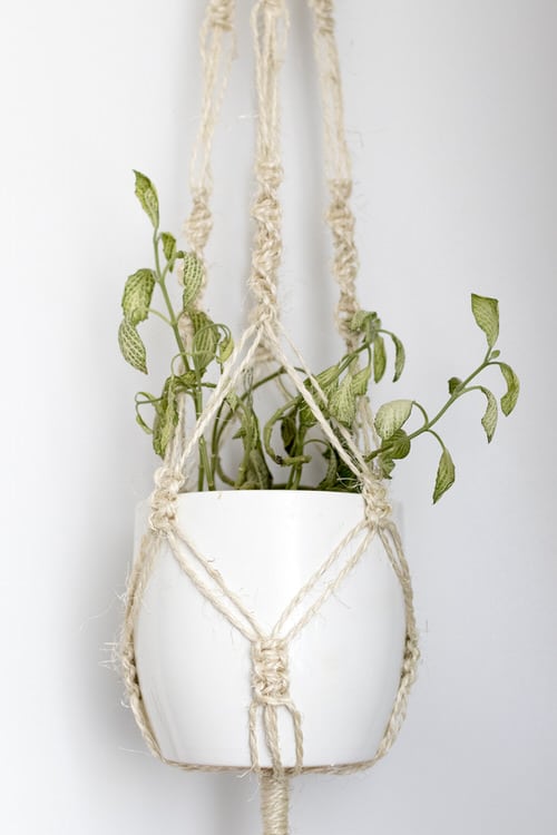 Wall Planter Macramé Ideas 3