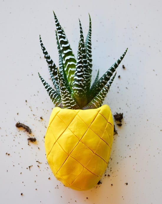 Overly Cute DIY Mini Planters for Succulents plants and garden