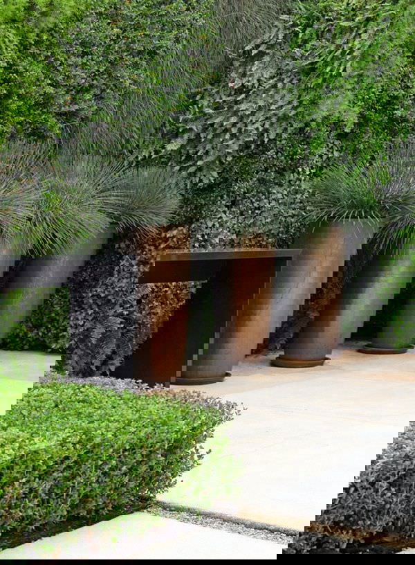 Best Architectural Plants to Grow in Containers 4