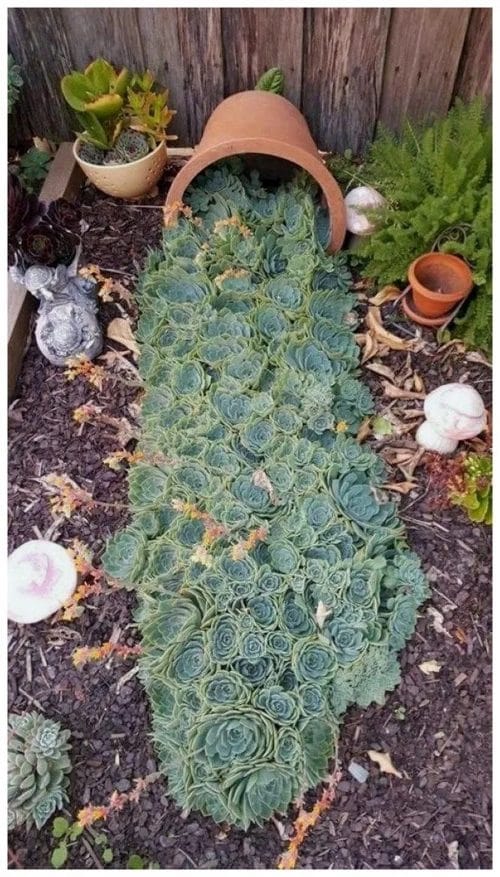 Succulent Porch Garden Ideas 13