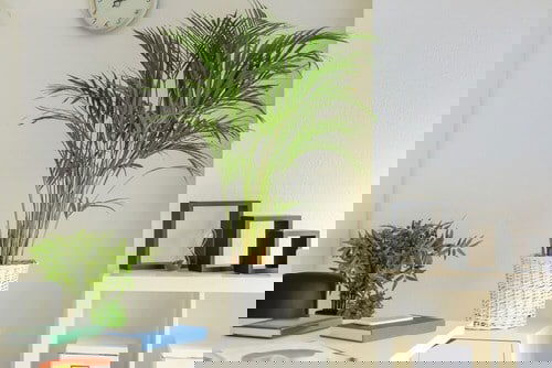 Décor Ideas with Indoor Palms 6