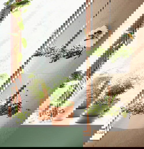 How IKEA Pots Change the Look of Indoor Plants 2