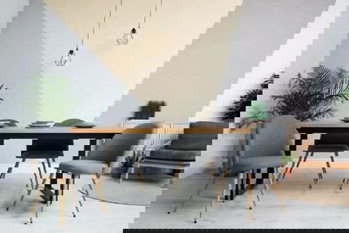 Pictures of House Plants in the Dining Room 3