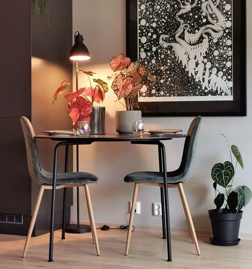 Houseplants for Girls Room