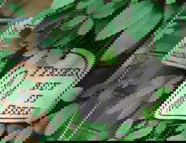 garden sign ideas (8)