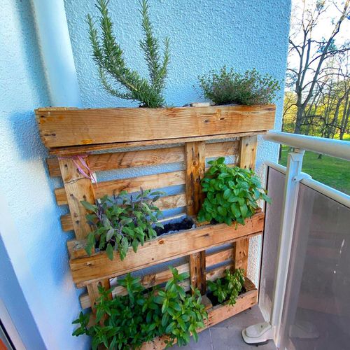 Edible Balcony Gardens 5