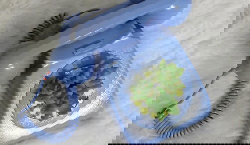 Vintage Garden Decor Ideas 13