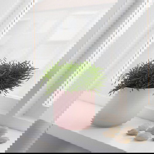 How IKEA Pots Change the Look of Indoor Plants 8