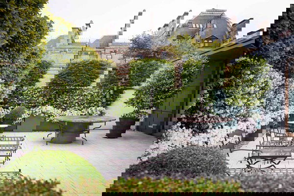 terrace garden tips 2