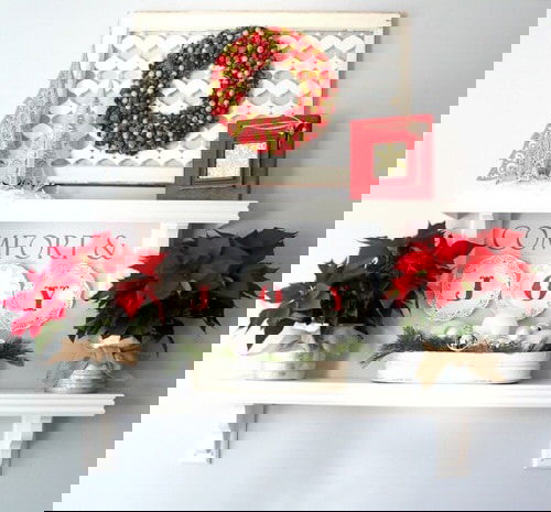 Ideas to Decorate your Home with Poinsettias 6