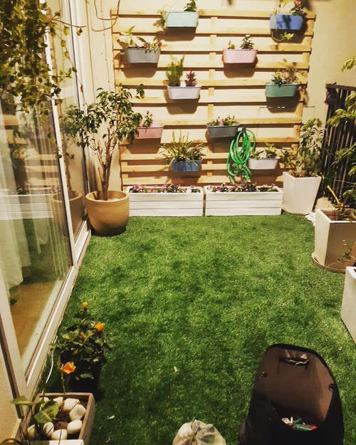 Top Balcony Gardens of November on Instagram 7