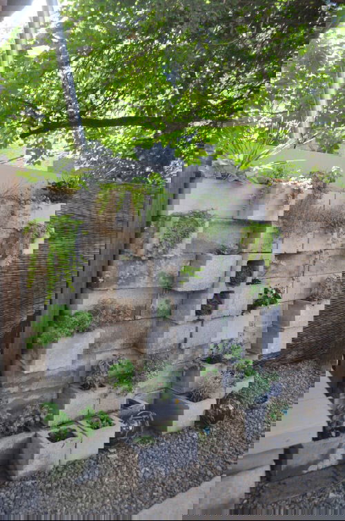 Patio Wall Decorating Ideas with Plants 4