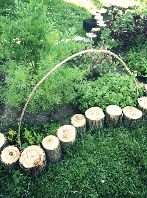 DIY Lawn and Garden Edging Ideas 14