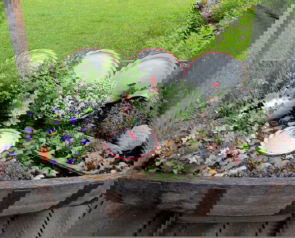 kitchen fairy garden