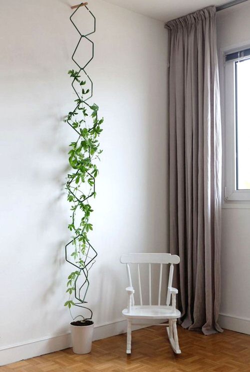 Indoor Climbers Pictures 5