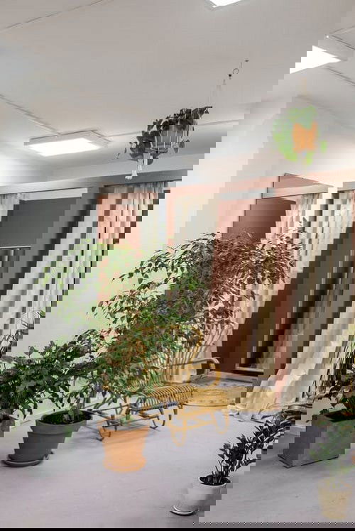 Pin Worthy Houseplant Pictures 42