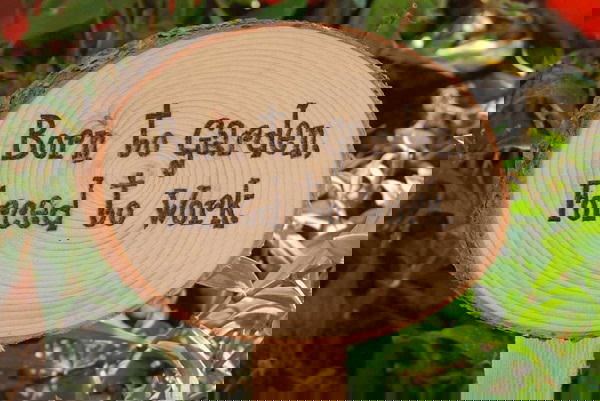 garden sign ideas (10)