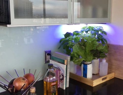Hydroponic Herb Garden DIY 8