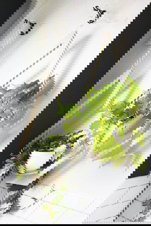 Make Your Own Hanging Garden 2