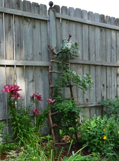 Garden Projects Using Sticks and Twigs 2