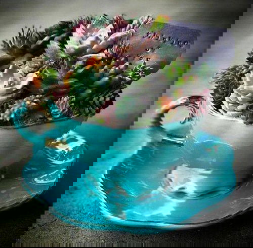 These Pictures Prove You Can Plant Succulent Anywhere 23