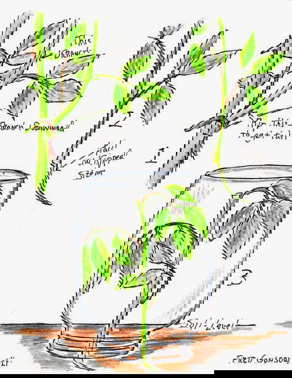 fa313b0140846c083d0dc69deb9c7892