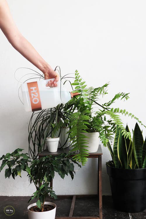 DIY Watering Can Ideas 16