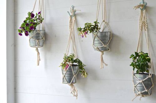 Wall Planter Macramé Ideas 2
