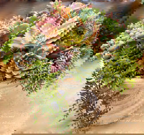 DIY Tabletop Centerpiece Ideas for Gardeners 4