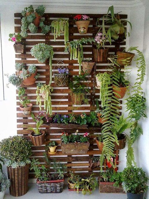 Vertical Garden Home Decoration 3