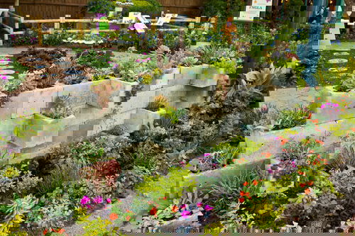 Outdoor Succulent Decoration Pictures 14