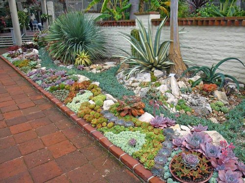 Outdoor Succulent Decoration Pictures 3
