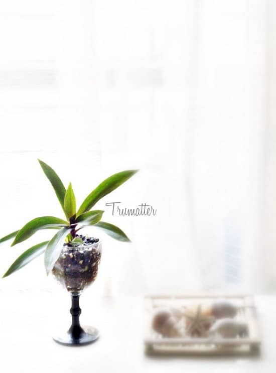 Things to Do with Wine Glasses 3