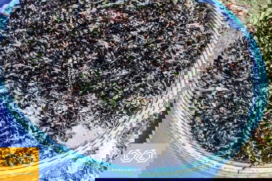 super easy to make Homemade Liquid Fertilizer