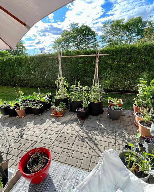 70 Nicest Patio Garden Ideas | Best Patio Gardens 32