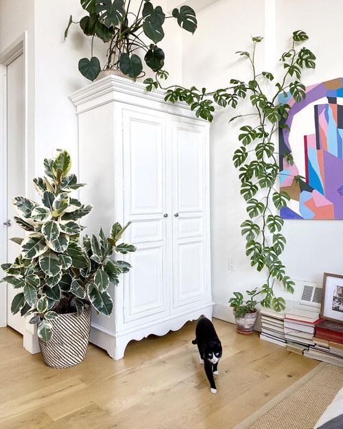 Indoor Climbers Pictures 4