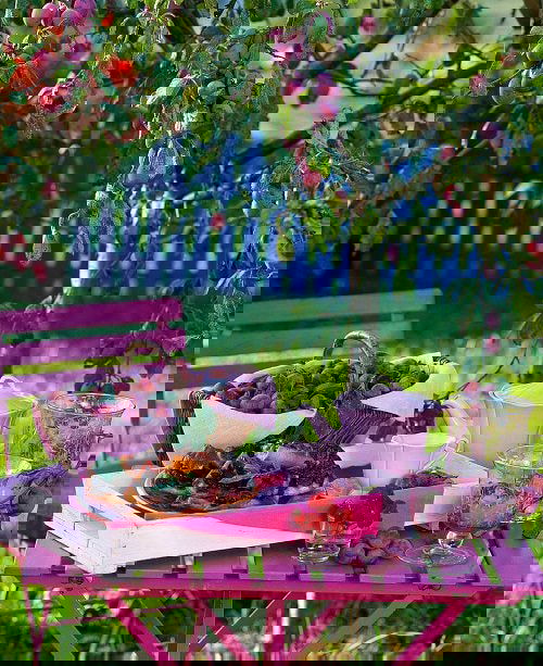 Best Cold Tolerant Fruit Trees 3