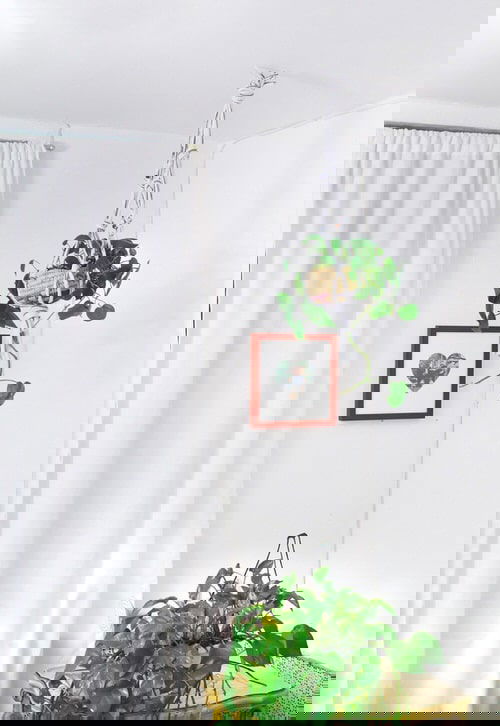 DIY Planter Hacks 17