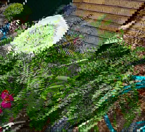 Vintage Garden Decor Ideas 24