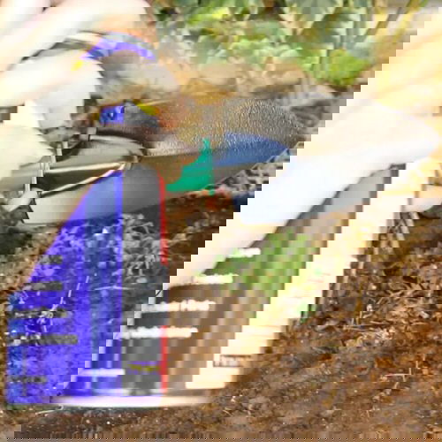 How to Use Common Household Things in Your Garden 12