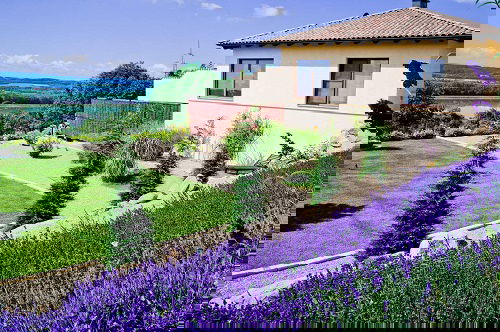 Landscaping with Lavender 16