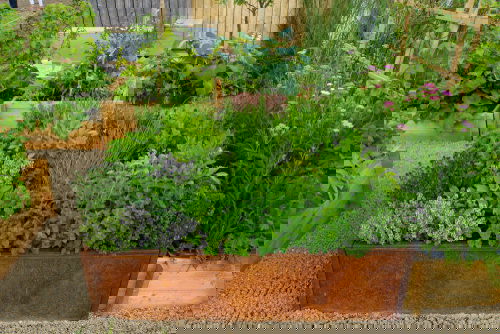 Must Do Things in Garden in Summers