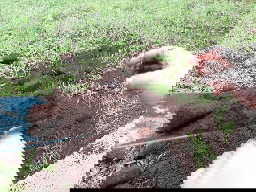 Pinterest Garden Hacks 10