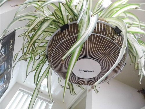 Old Electronic Items Used to Grow Pants Ideas 5