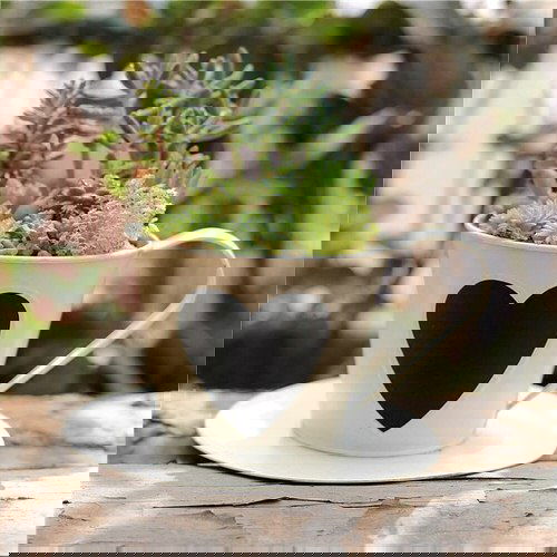 Coffee Mug Planter Ideas 5