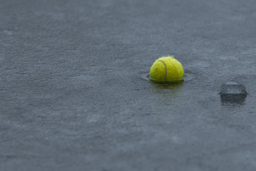 How to Use Common Household Things in Your Garden 11