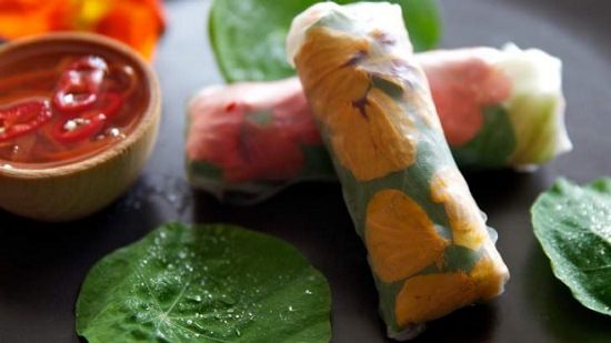 Reasons to Grow Nasturtium in the Garden 4