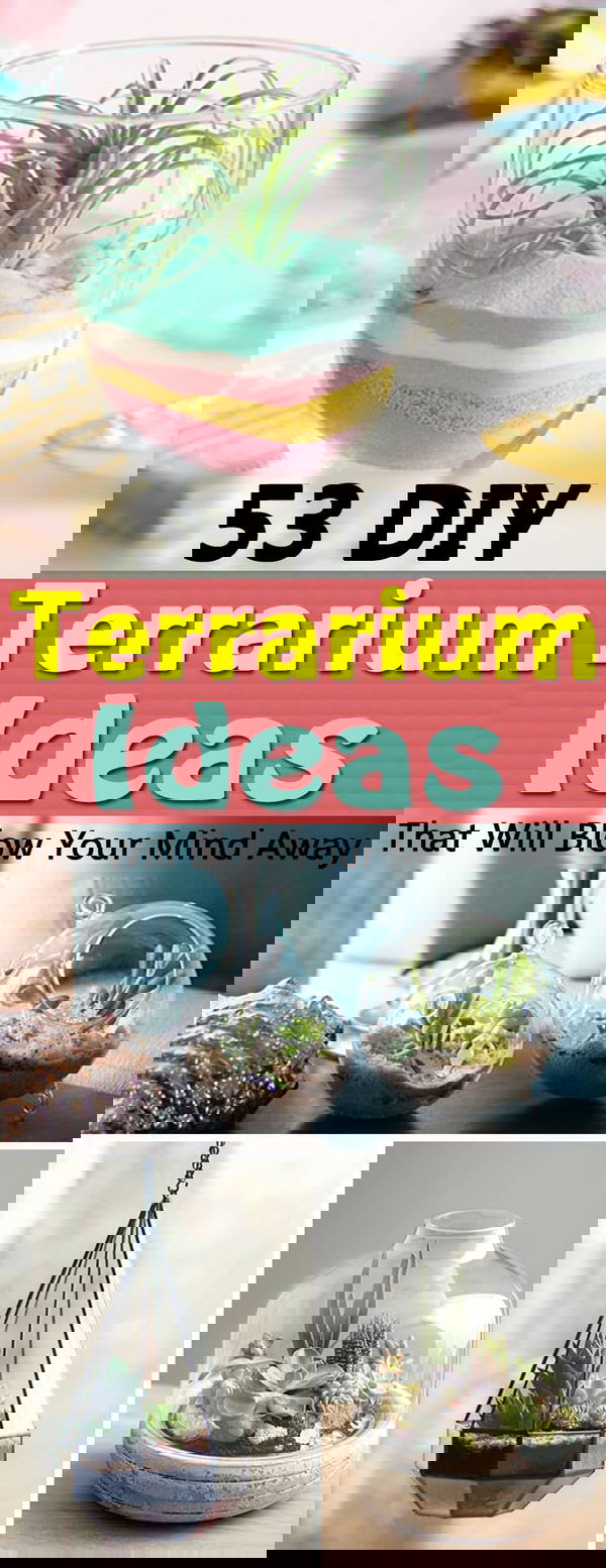 Make inexpensive homemade terrariums for your home and garden with these 53 DIY Terrarium Ideas available with tutorials!