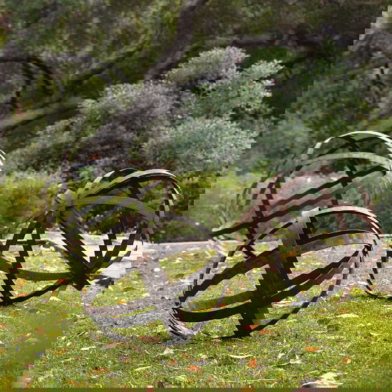 Complete these DIY Rusted Metal Garden Art Projects using rusty and salvaged items you have to decorate your outdoor space at cheap cost!